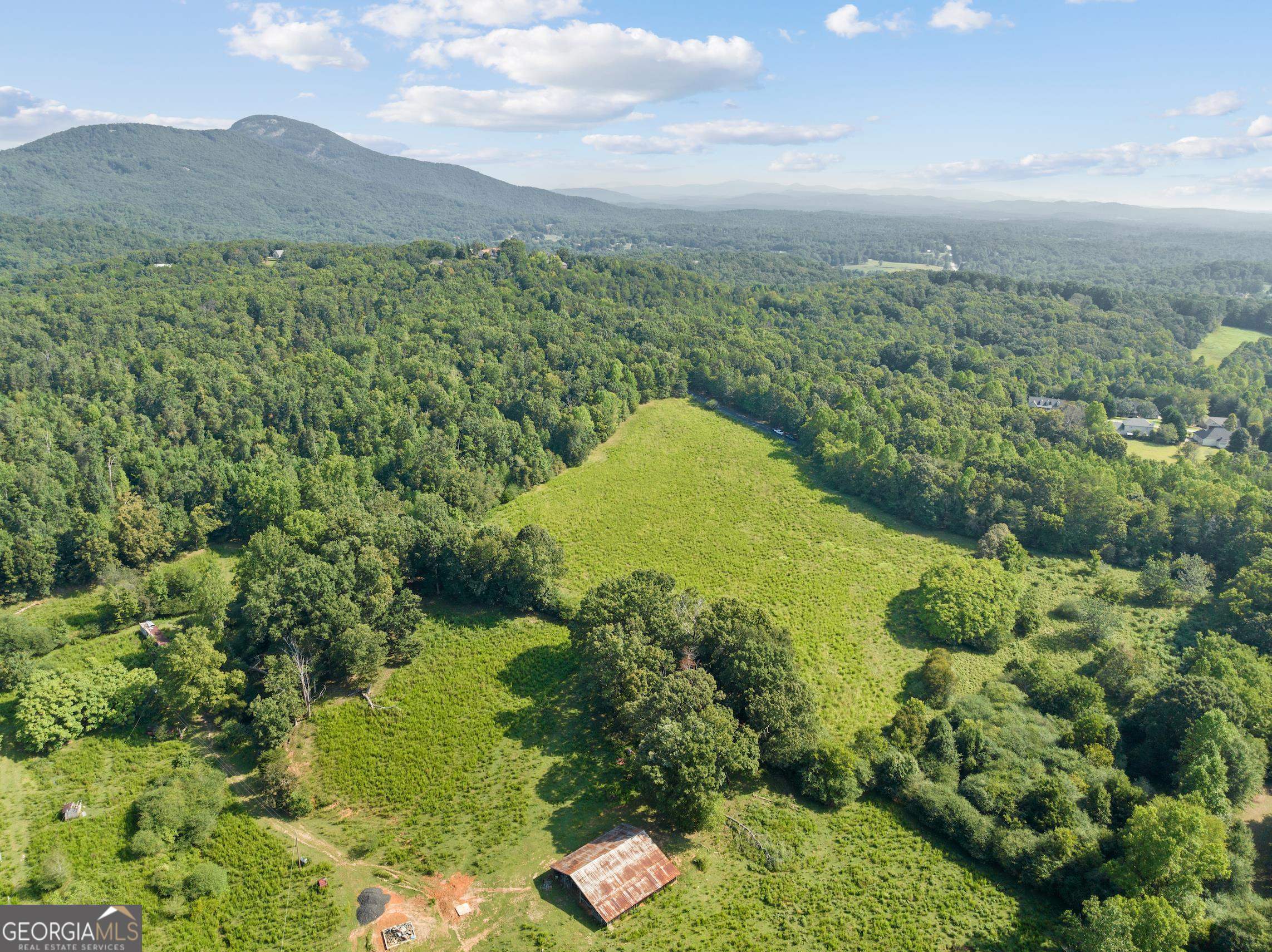 0 Highland Forest Road Cleveland, GA 30528 - Photo 1 of 1 a view of a lush green hillside and a houses