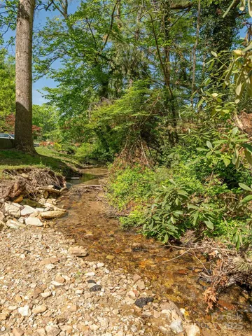 a view of a yard with plants and large trees