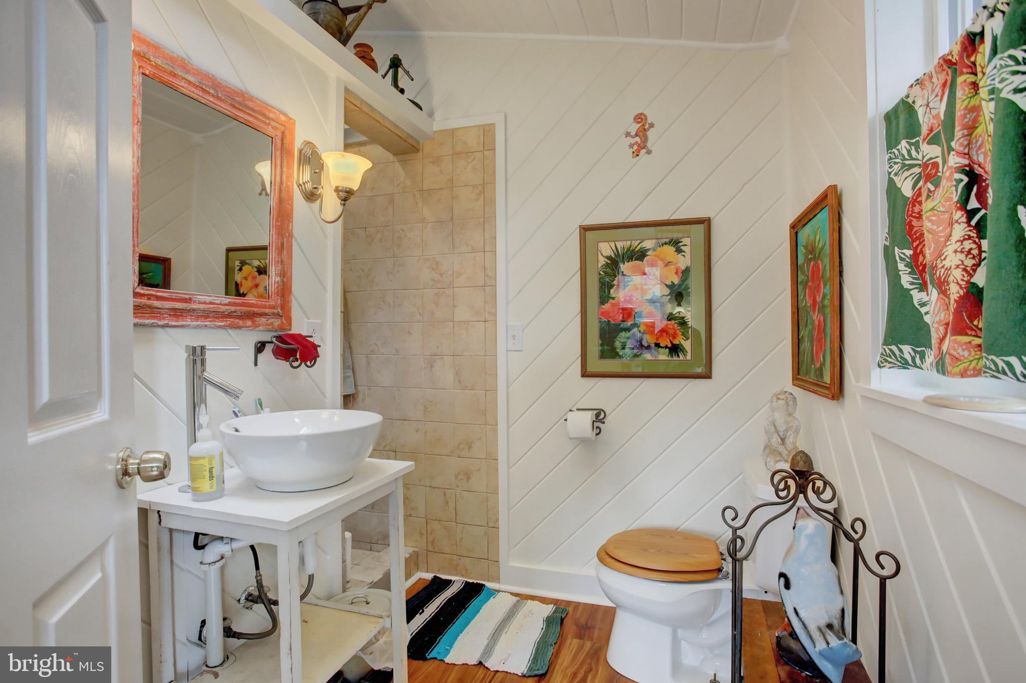 241 Front Street Lititz, PA 17543 - Photo 20 of 37 Full Bathroom with Skylights