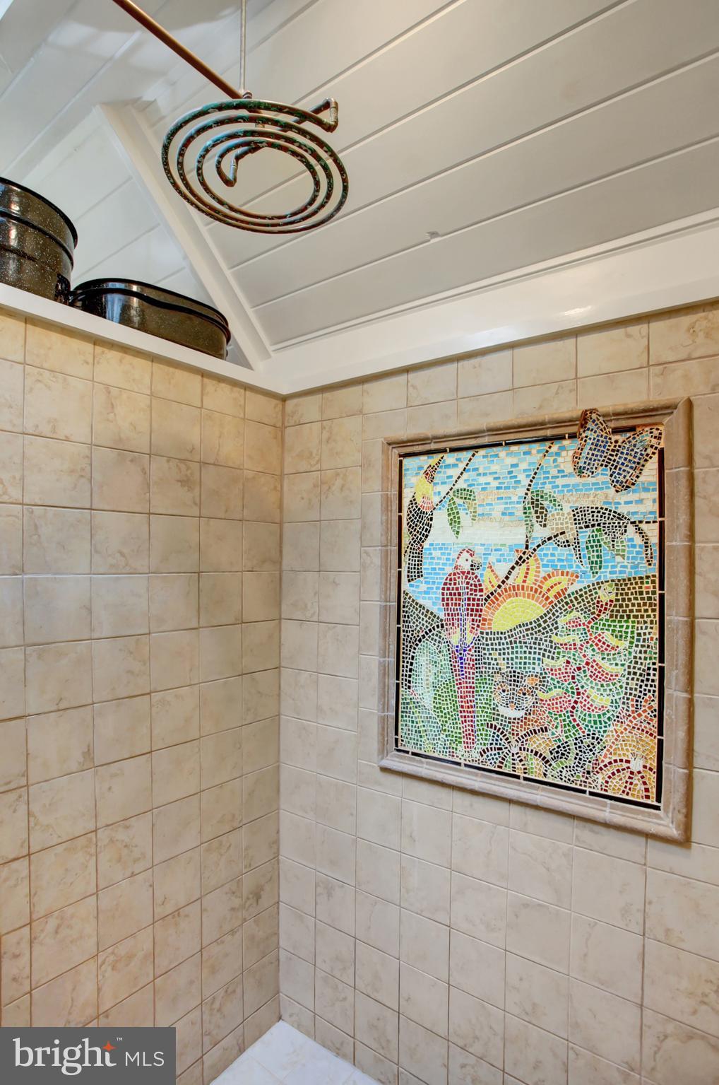 241 Front Street Lititz, PA 17543 - Photo 21 of 37 Copper Shower Head in the 1st Floor Bathroom
