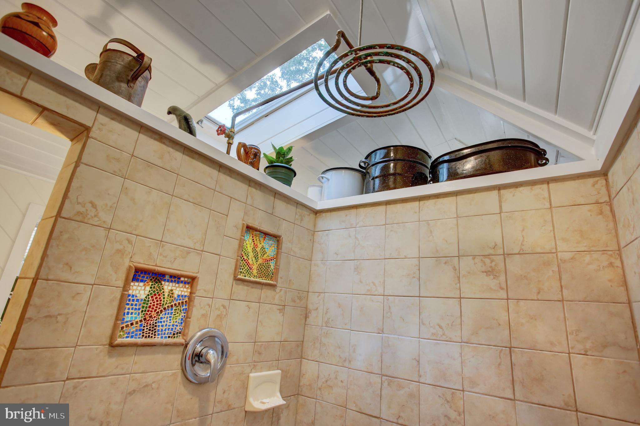 241 Front Street Lititz, PA 17543 - Photo 22 of 37 Skylights Provide Extra Light in the Bathroom