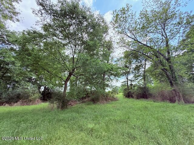 37 Fortenberry Road Tylertown, MS 39667 - Photo 78 of 83 IMG_3717