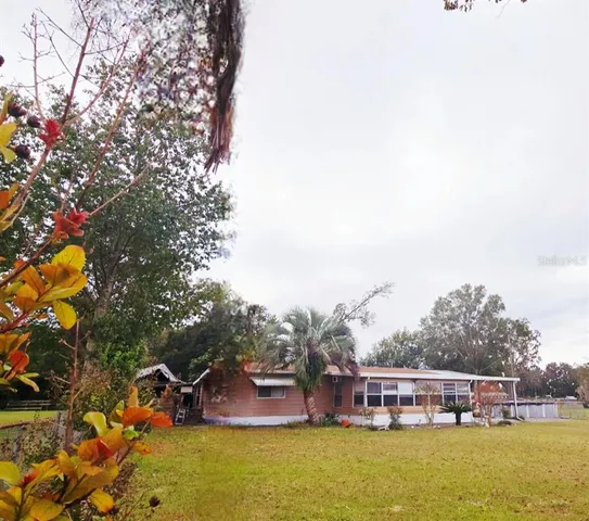 a view of a swimming pool with lawn chairs and a large tree