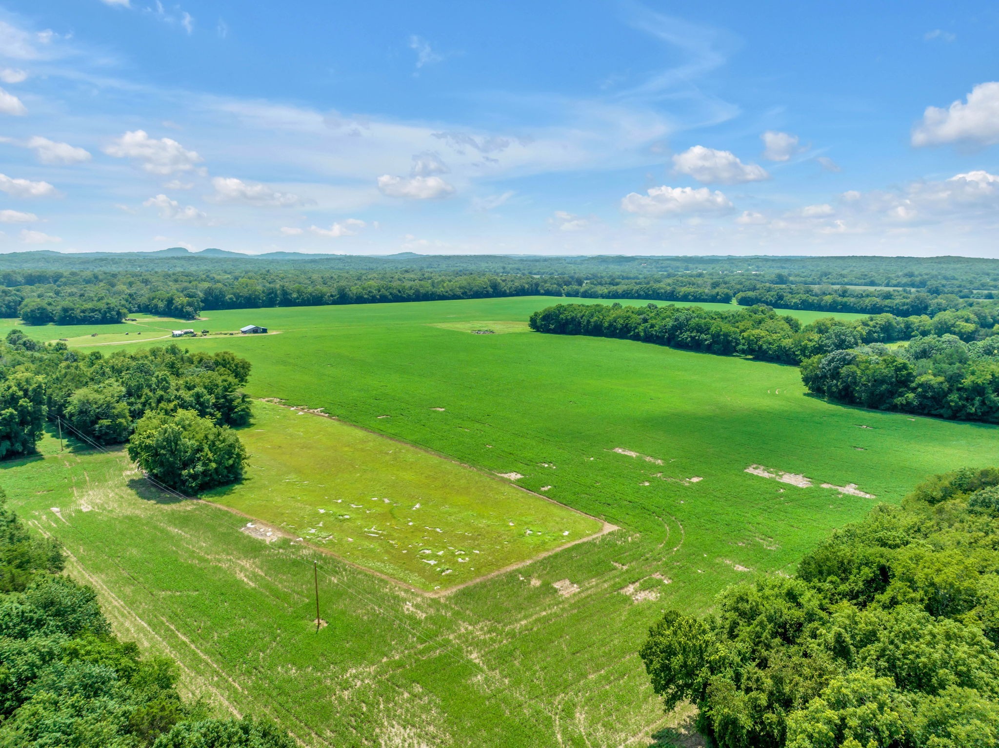 0 Old Berlin Road Lewisburg, TN 37091 - Photo 1 of 19 Gallery Image 1