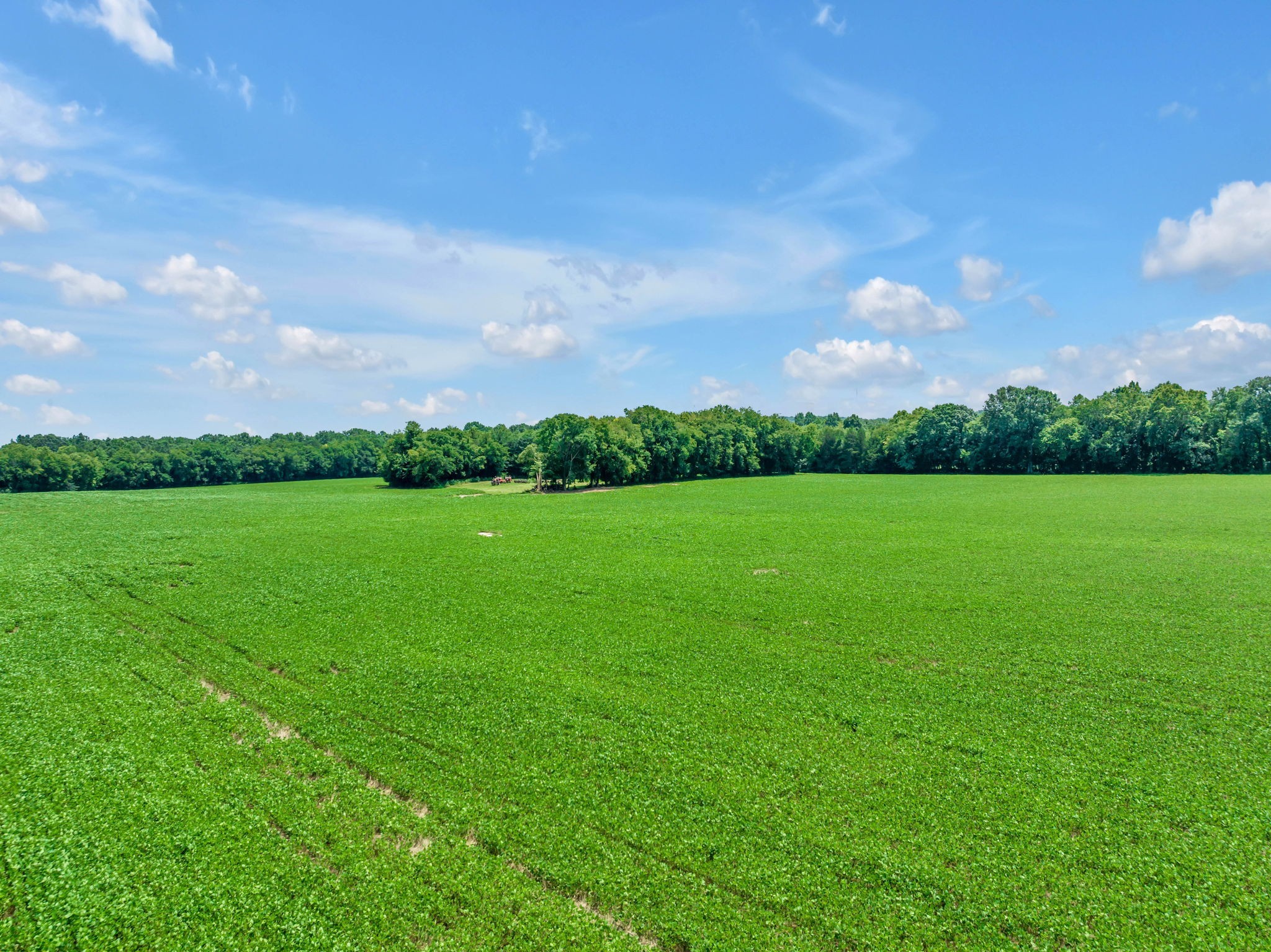 0 Old Berlin Road Lewisburg, TN 37091 - Photo 6 of 19 Gallery Image 6