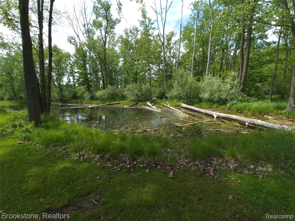 5910 Spring Valley Lane Dryden, MI 48428 - Photo 80 of 87