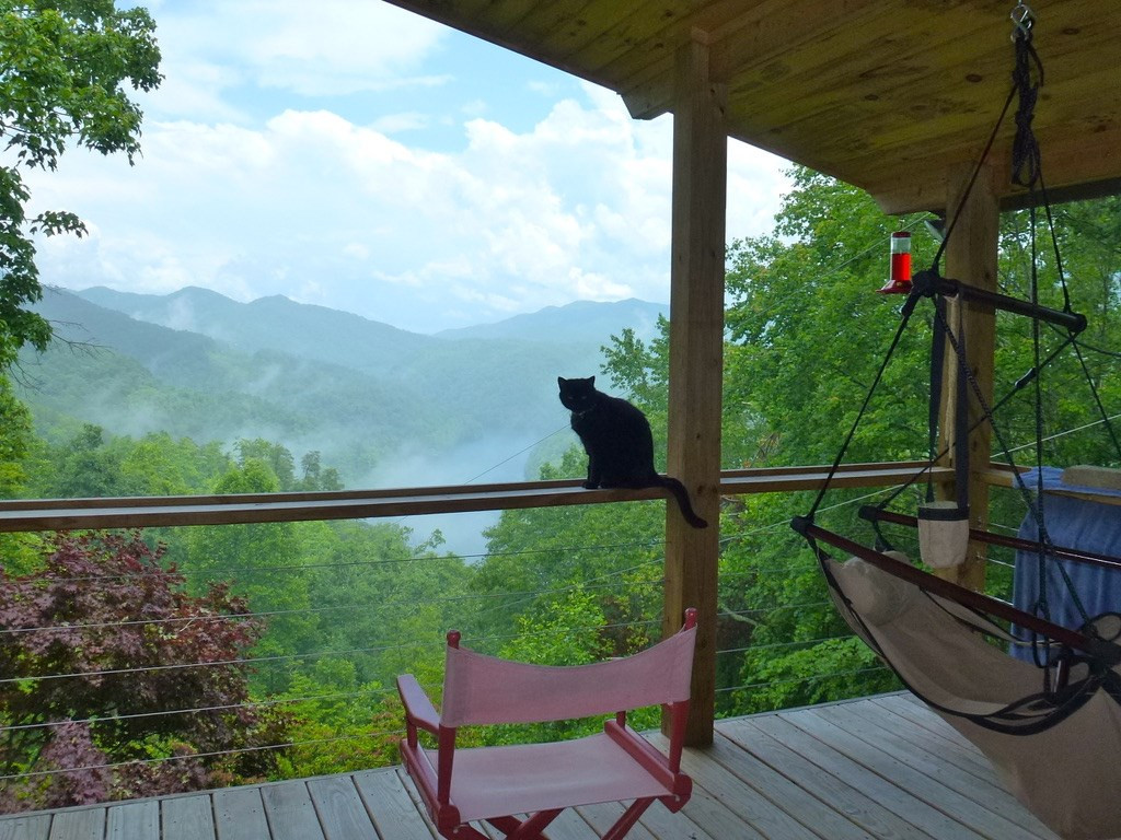354 Deals Gap Road Robbinsville, NC 28771 - Photo 5 of 62