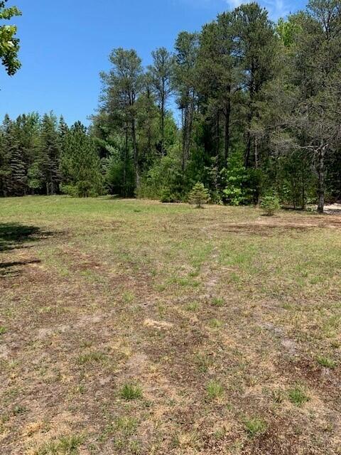 West Tyler Road Muskegon, MI 49445 - Photo 8 of 12 4