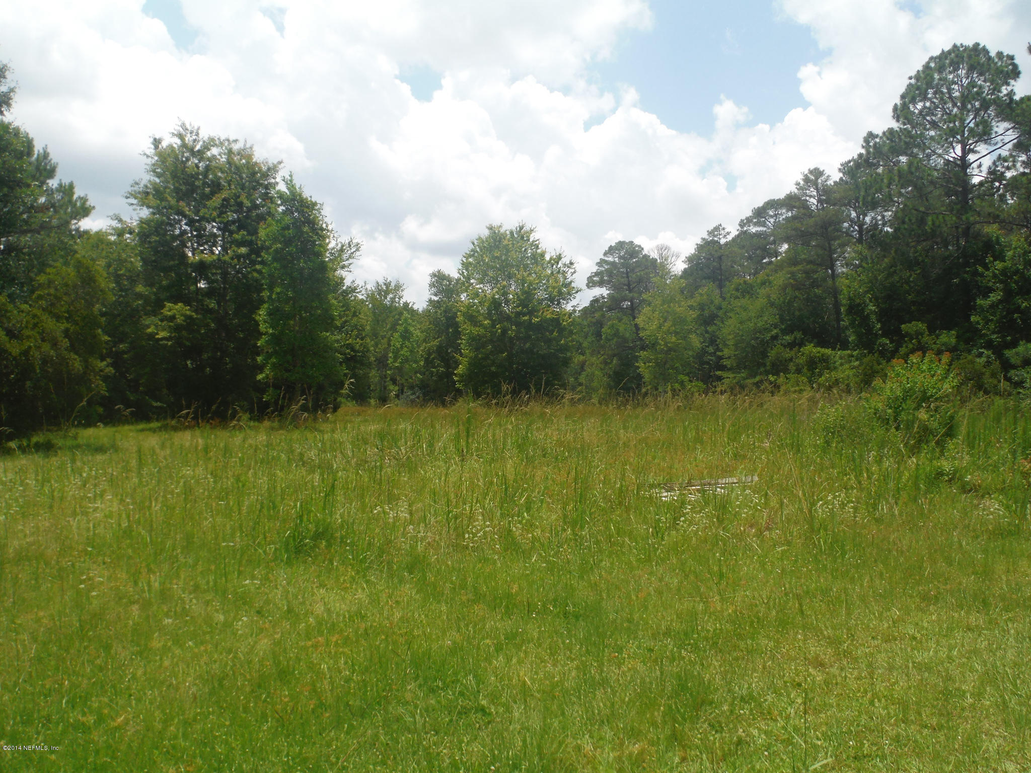 4345 Bondarenko Road Keystone Heights, FL 32656 - Photo 6 of 27 DSCF6480
