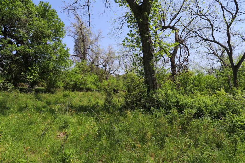 Tbd Tbd Oglesby Neff Park Road Moody, TX 76557 - Photo 12 of 35 a view of a yard