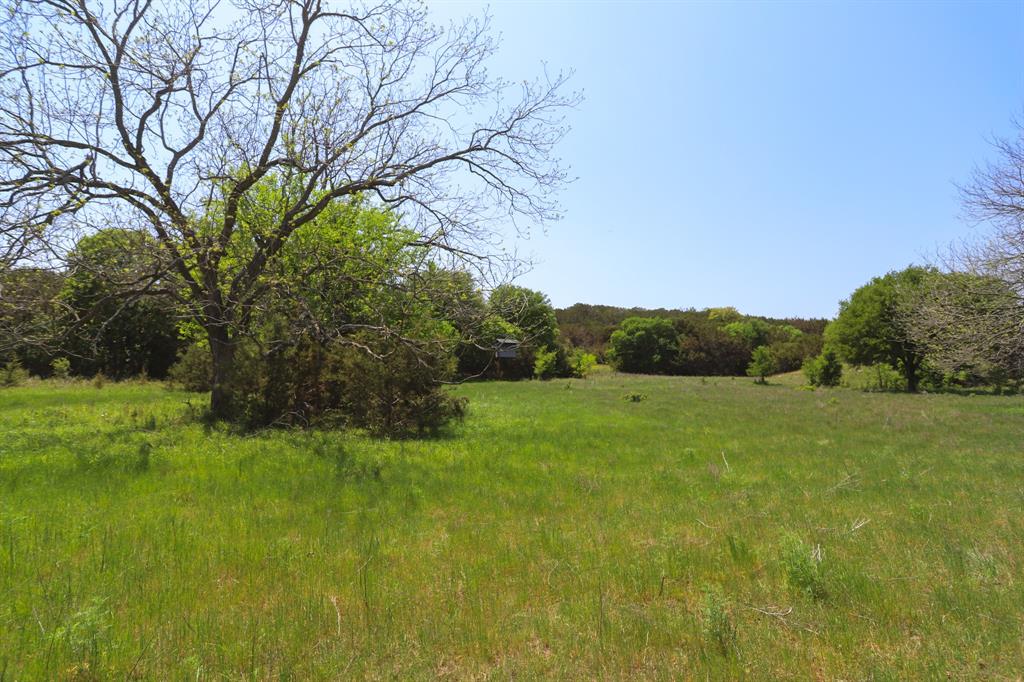 Tbd Tbd Oglesby Neff Park Road Moody, TX 76557 - Photo 13 of 35 a view of grassy field with trees