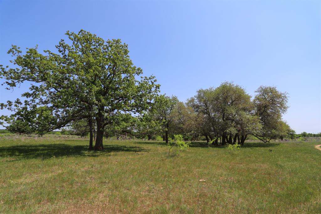 Tbd Tbd Oglesby Neff Park Road Moody, TX 76557 - Photo 15 of 35 a view of green field