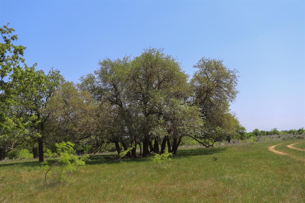 Tbd Tbd Oglesby Neff Park Road Moody, TX 76557 - Photo 16 of 35 a view of a field with trees in the background