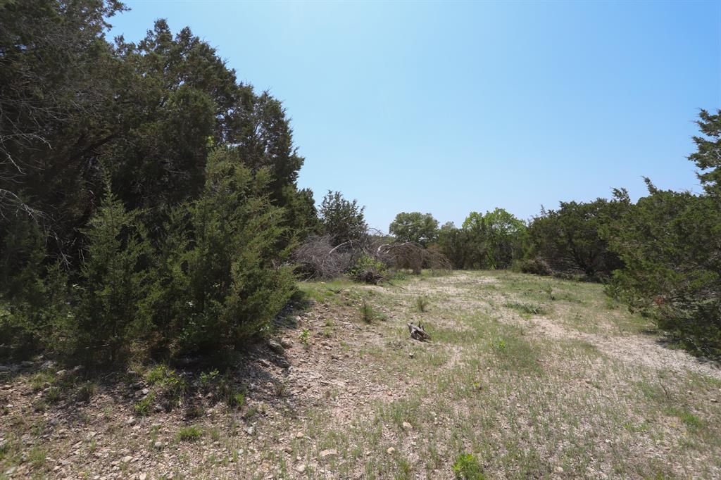 Tbd Tbd Oglesby Neff Park Road Moody, TX 76557 - Photo 19 of 35 a view of a dry yard with trees in the background