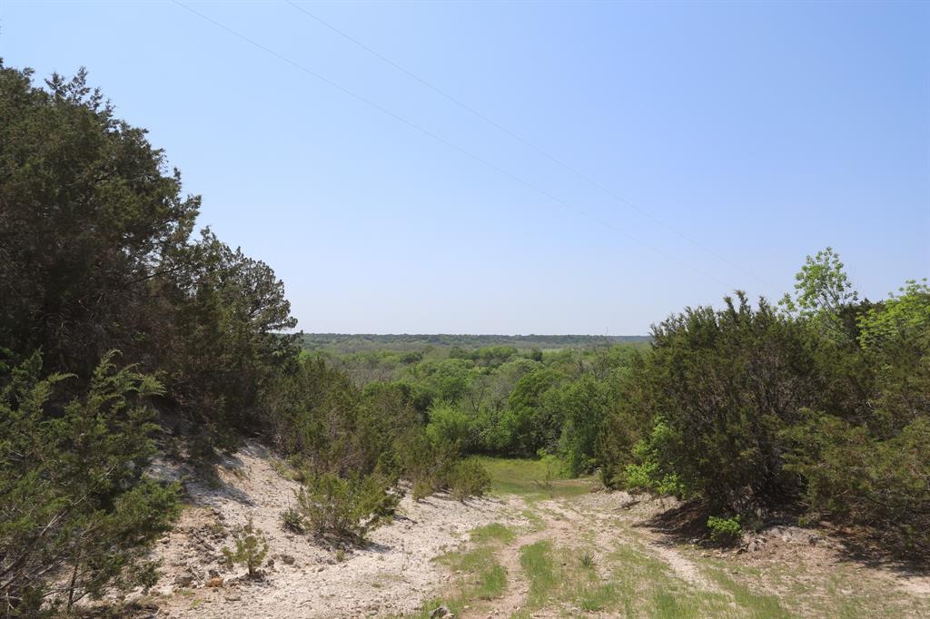 Tbd Tbd Oglesby Neff Park Road Moody, TX 76557 - Photo 23 of 35 a view of a yard with a tree
