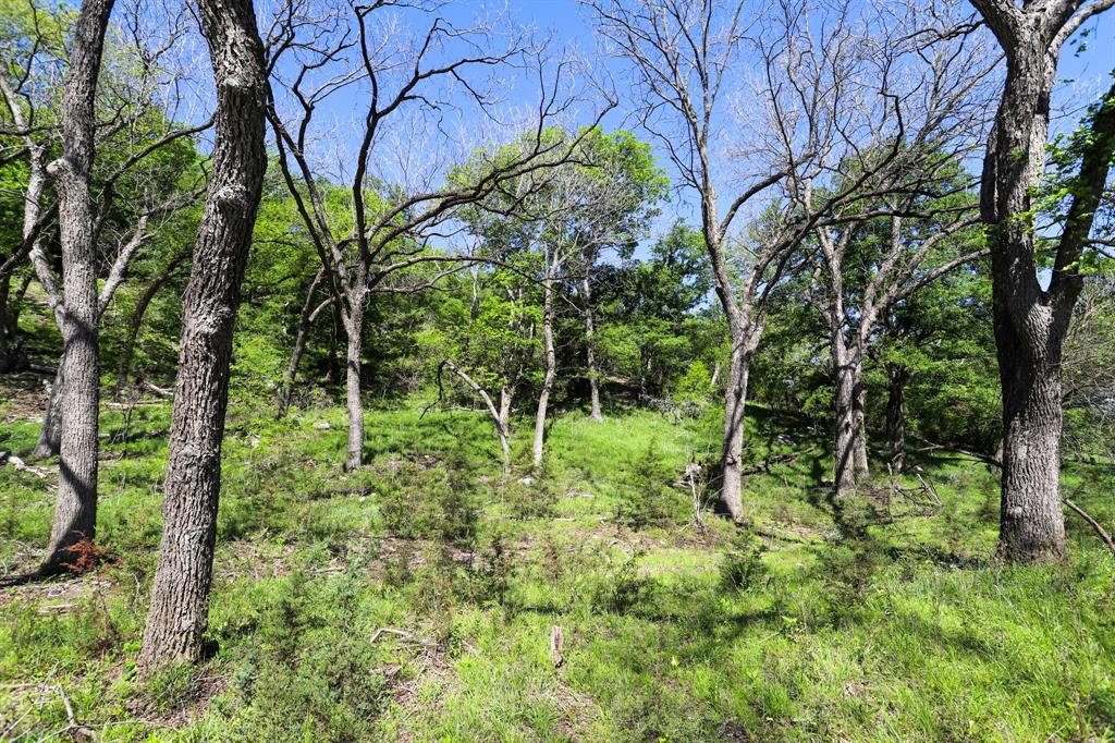 Tbd Tbd Oglesby Neff Park Road Moody, TX 76557 - Photo 5 of 35 a backyard of a house with lots of plants and trees