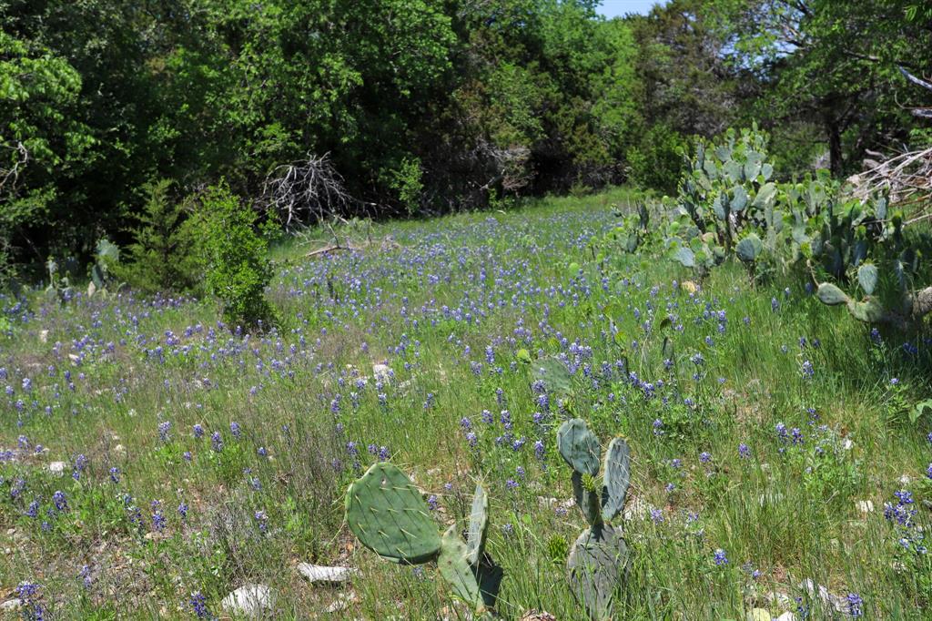 Tbd Tbd Oglesby Neff Park Road Moody, TX 76557 - Photo 7 of 35