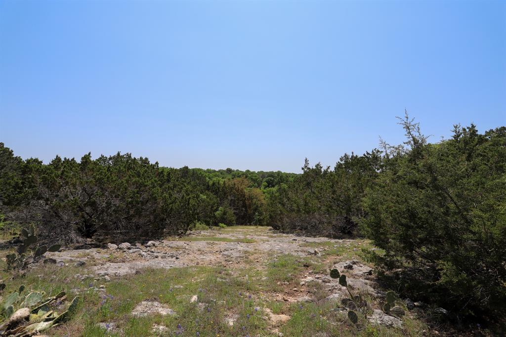 Tbd Tbd Oglesby Neff Park Road Moody, TX 76557 - Photo 8 of 35 a view of a dry yard with trees in the background