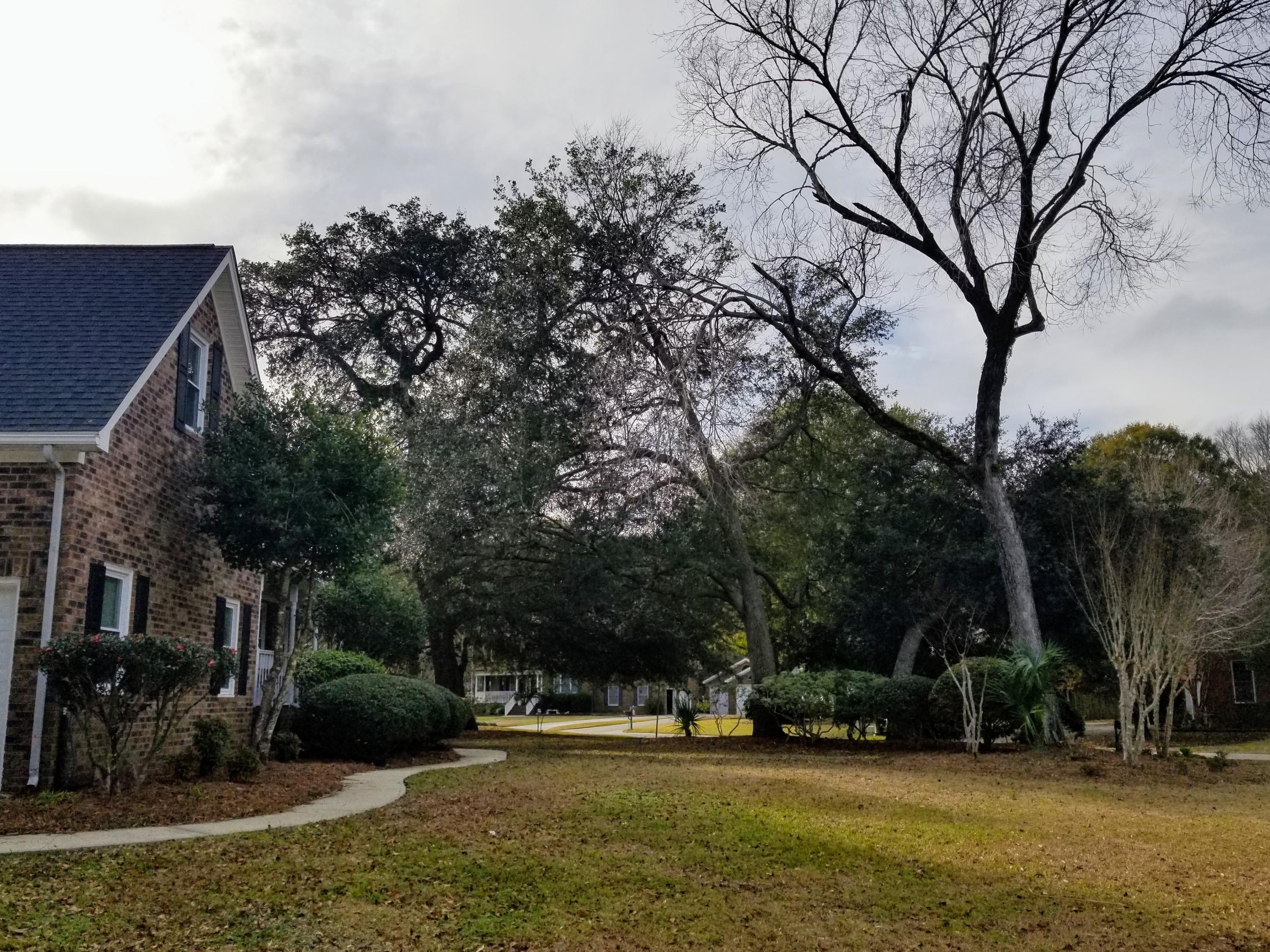 29 Ripplemoor Lane Charleston, SC 29414 - Photo 57 of 63 20181227_142616
