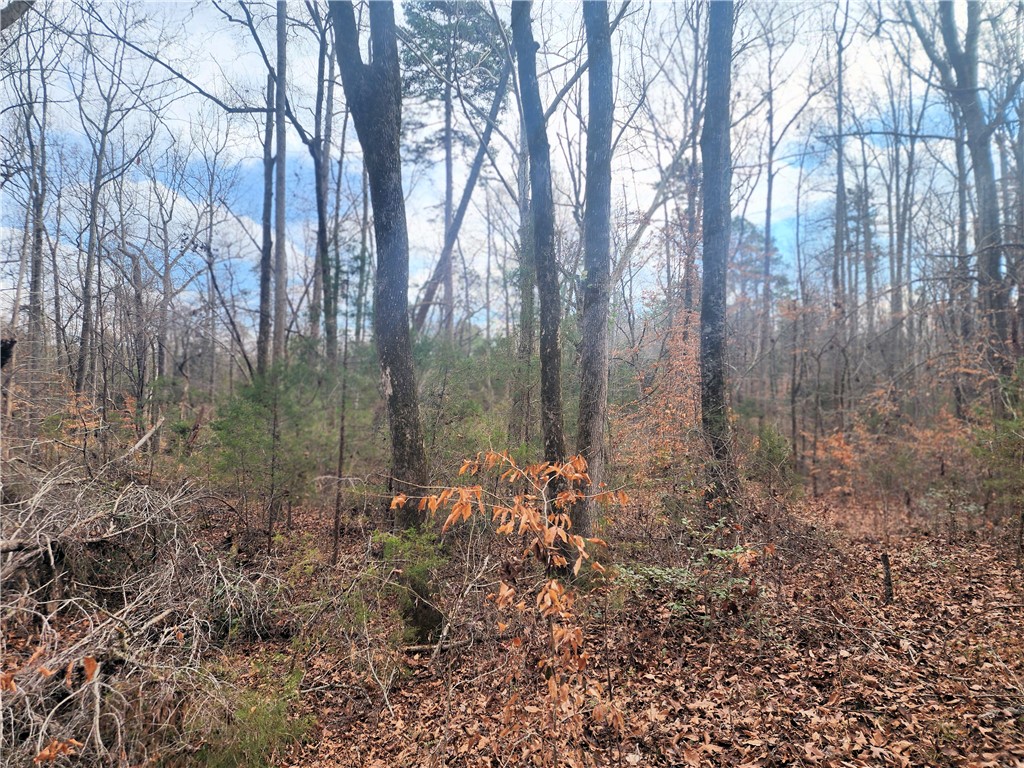 3068 State Rd S-30-40 Gray Court, SC 29645 - Photo 17 of 32