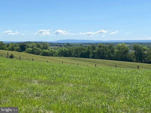 14521 Fairview Hill Lane Clear Spring, MD 21722 - Photo 6 of 9 a view of a lush green field