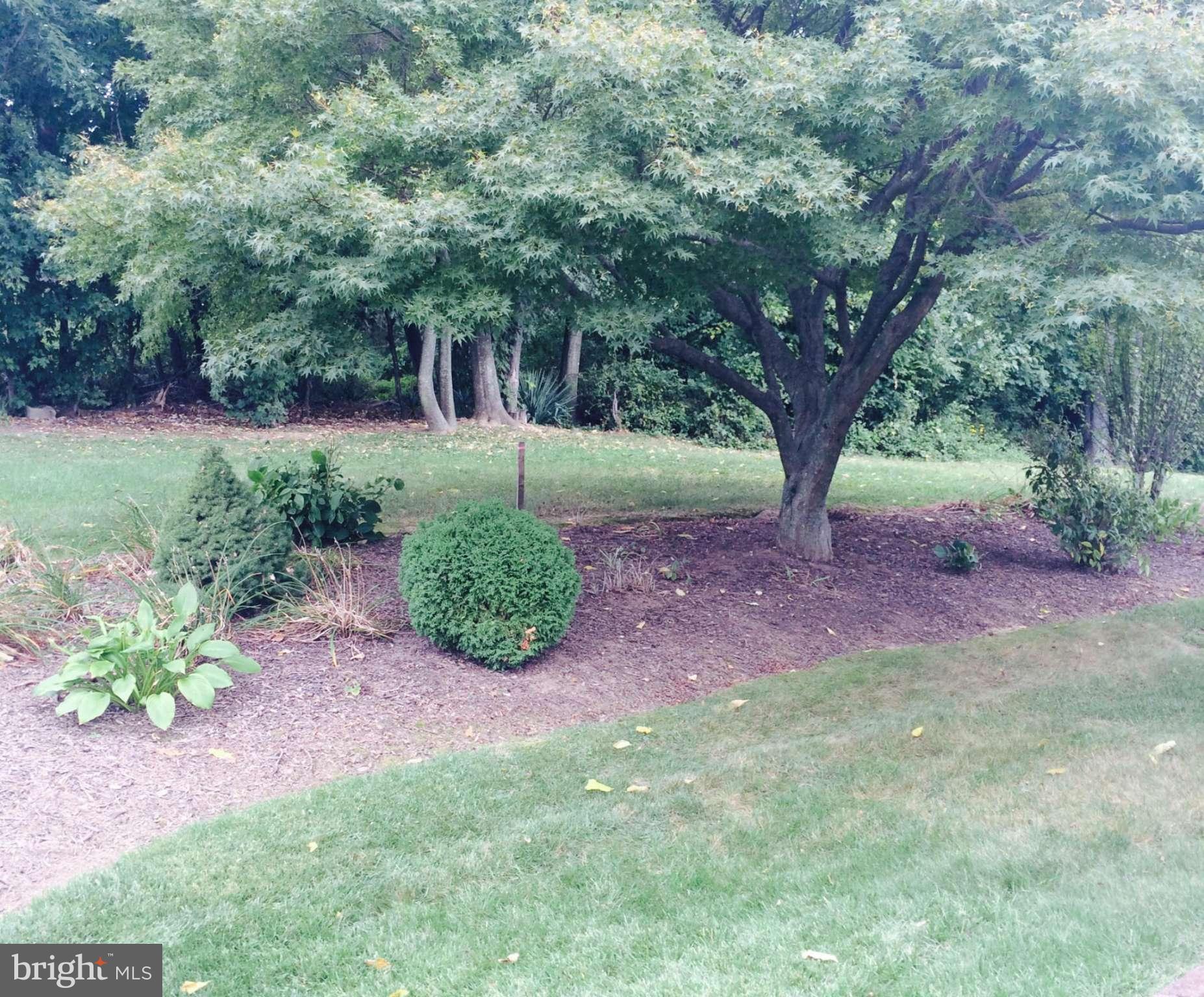 7827 Perry Road Baltimore, MD 21236 - Photo 20 of 20 Exterior (Rear)