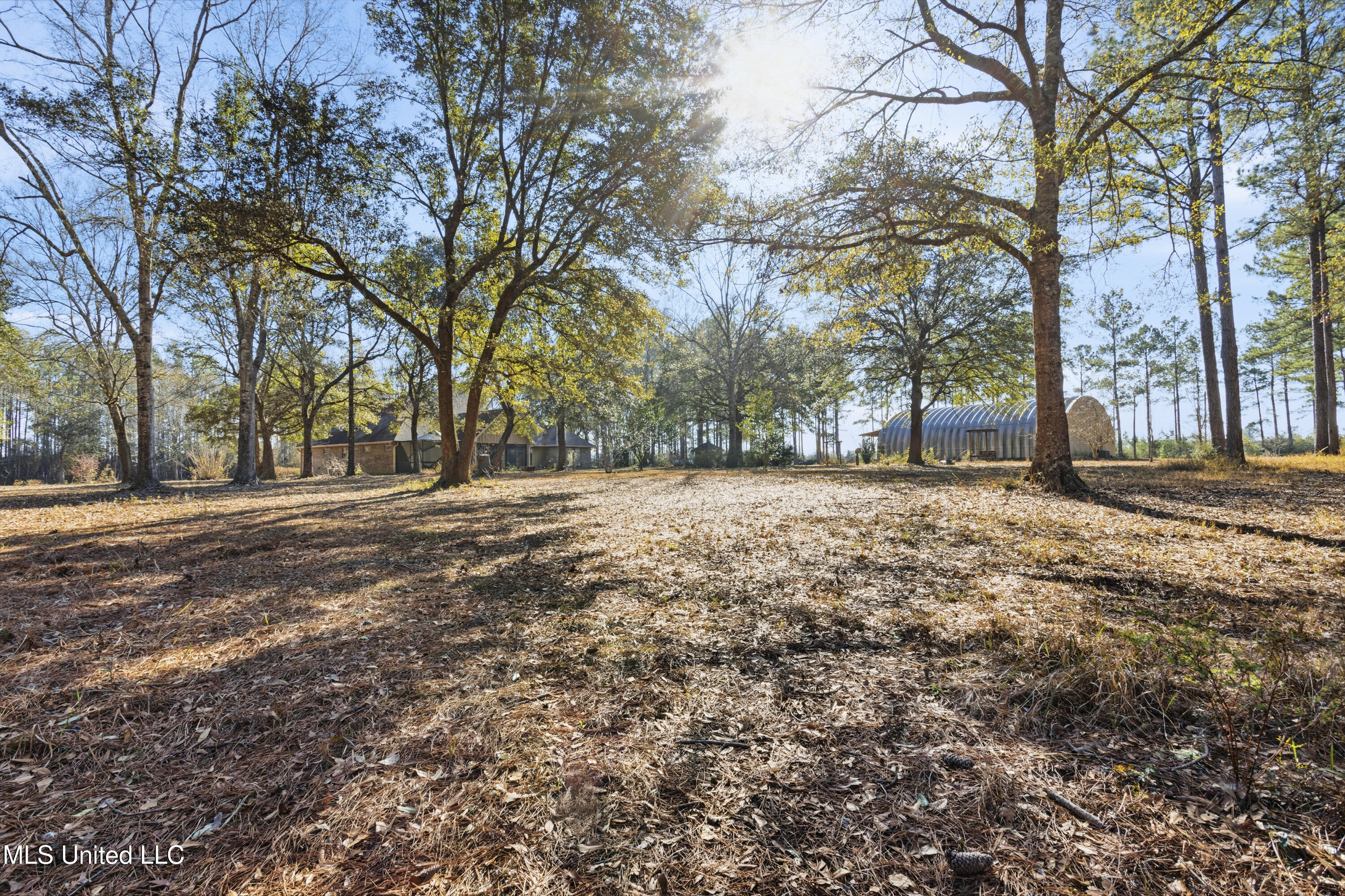 20401 Farm Road Vancleave, MS 39565 - Photo 63 of 75 0063