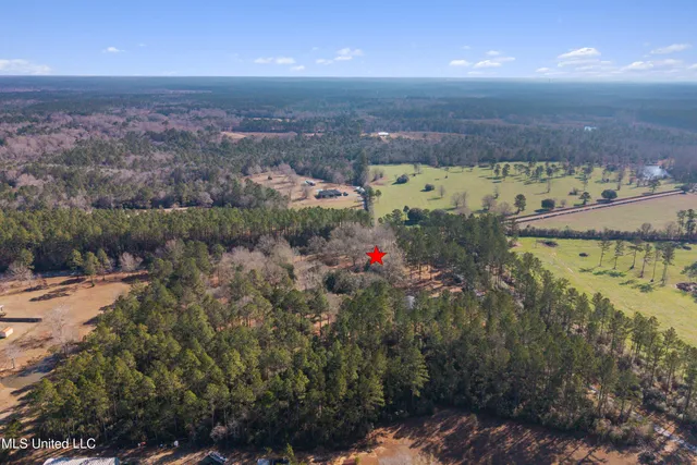 $579,000 | 20401 Farm Road, Vancleave, MS 39565