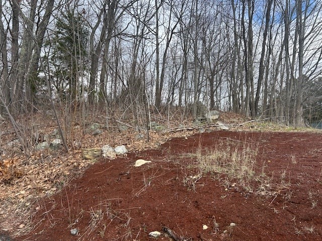 73 Sand Street Gardner, MA 01440 - Photo 23 of 23 a view of dirt yard with a large tree
