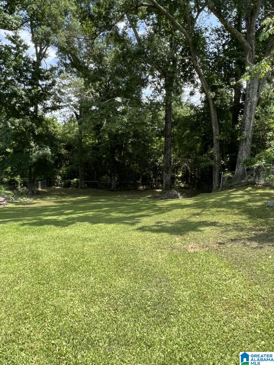706 Cone Street Clanton, AL 35045 - Photo 2 of 10