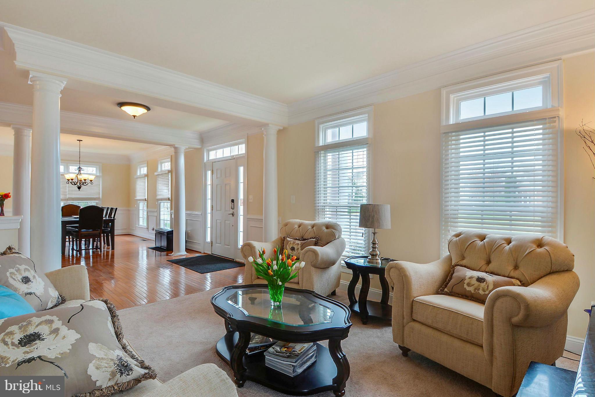 43001 Running Ridge Way Leesburg, VA 20176 - Photo 4 of 30 Living Room