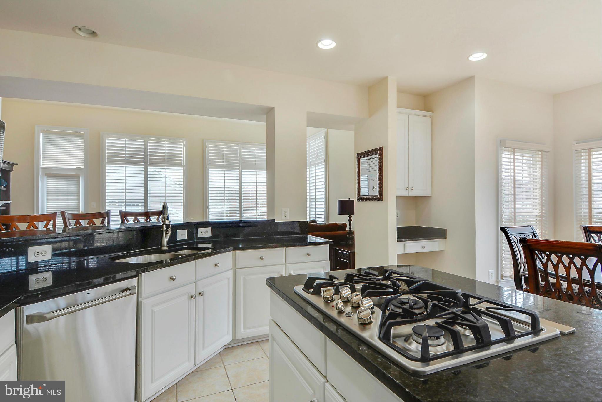 43001 Running Ridge Way Leesburg, VA 20176 - Photo 8 of 30 Gourmet Kitchen