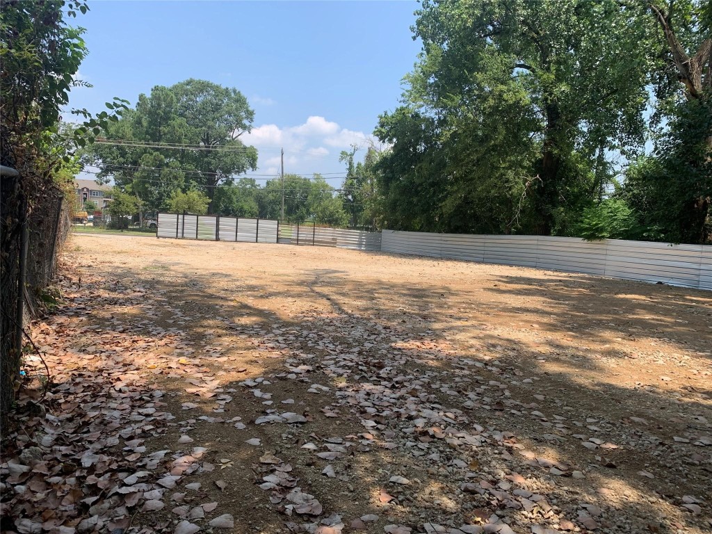 a view of a yard with a large tree