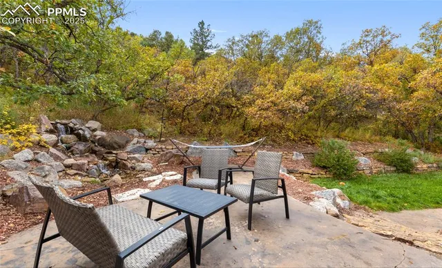 a view of a yard with plants and trees