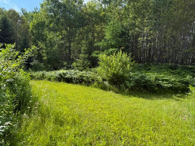 Tbd North Moose Lake Road Northeast Pennington, MN 56663 - Photo 5 of 26