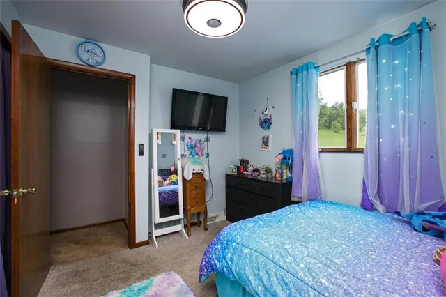 a bedroom with a bed and a flat tv screen