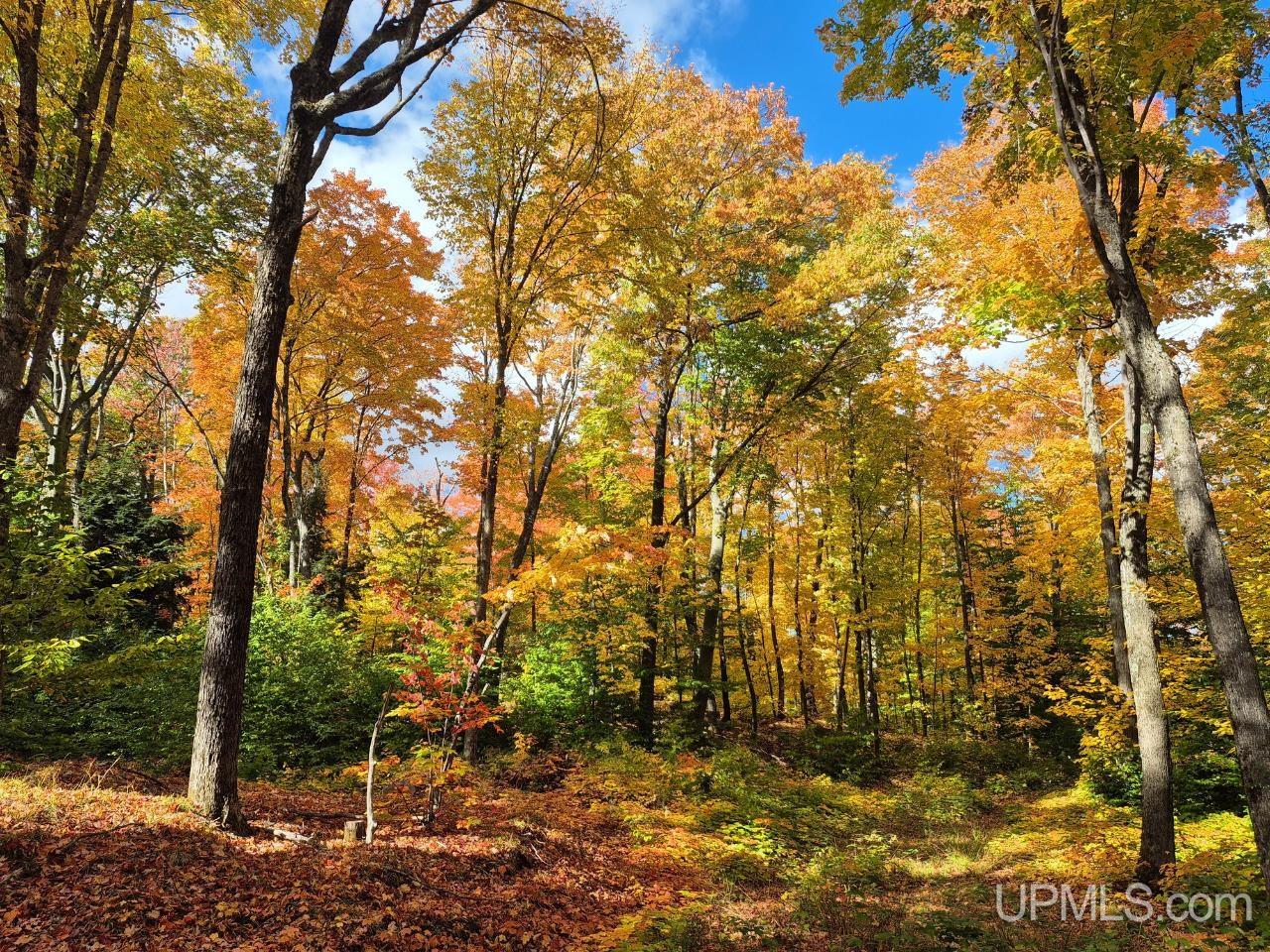510 Rd Ishpeming Mi 49849 Road Ishpeming, MI 49849 - Photo 5 of 25 Gallery Image 5