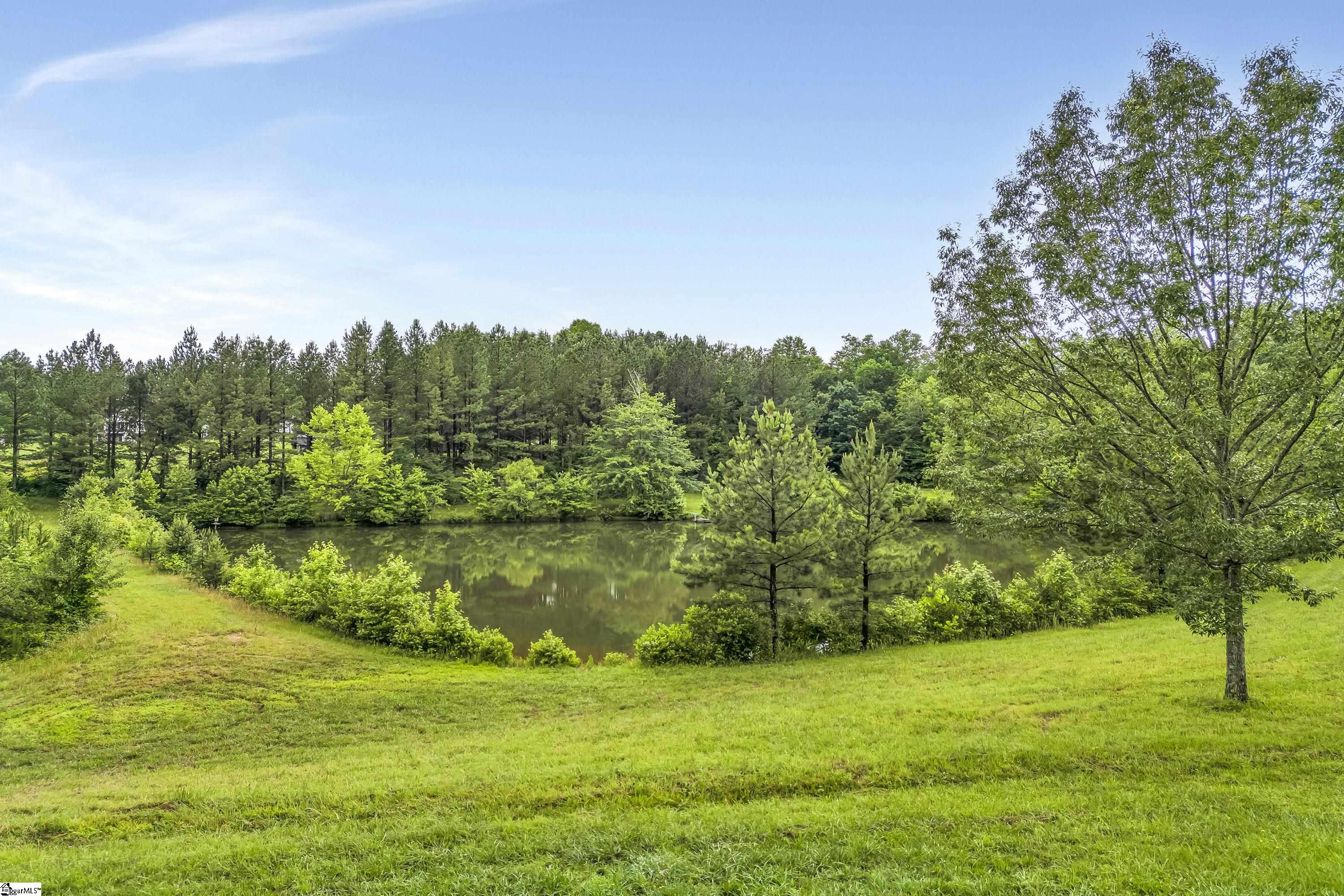 1527 South Blackstock Road Landrum, SC 29356 - Photo 20 of 31
