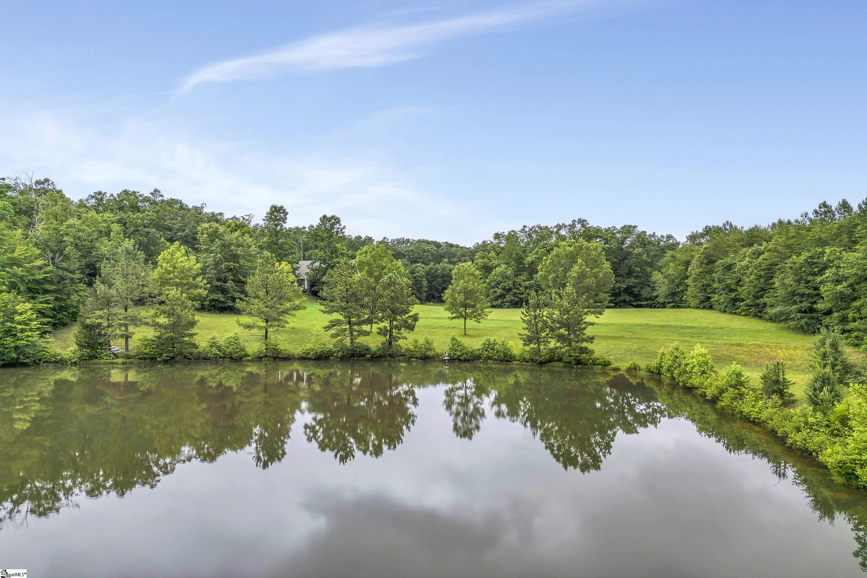 1527 South Blackstock Road Landrum, SC 29356 - Photo 21 of 31