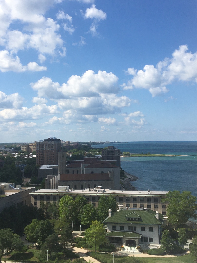 6325 North Sheridan Road, Unit 1508 Chicago, IL 60660 - Photo 15 of 16 a view of a lake with houses