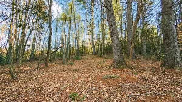$169,950 | Tbd Lot 1 Tbd Road, Taylorsville, NC 28681