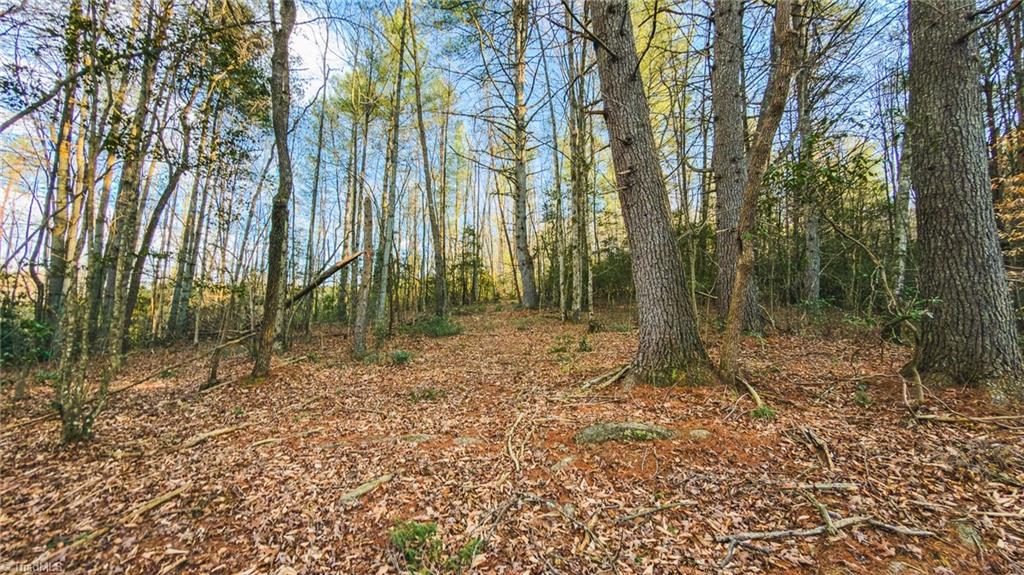 Tbd Lot 1 Tbd Road Taylorsville, NC 28681 - Photo 11 of 20