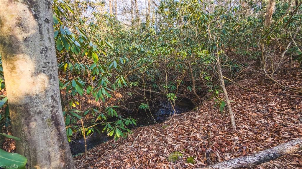 Tbd Lot 1 Tbd Road Taylorsville, NC 28681 - Photo 12 of 20