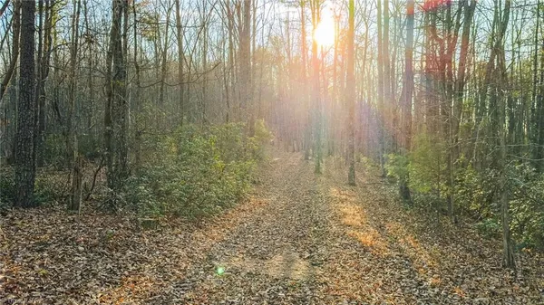 $169,950 | Tbd Lot 1 Tbd Road, Taylorsville, NC 28681