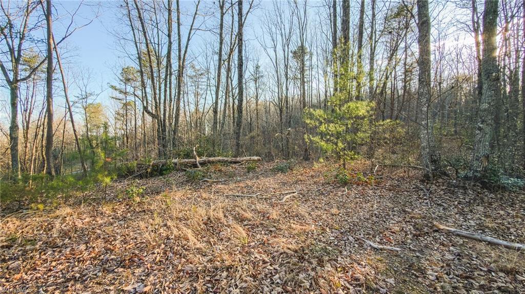 Tbd Lot 1 Tbd Road Taylorsville, NC 28681 - Photo 18 of 20
