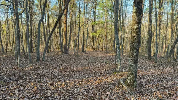 $169,950 | Tbd Lot 1 Tbd Road, Taylorsville, NC 28681
