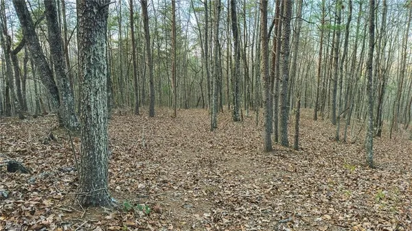 $169,950 | Tbd Lot 1 Tbd Road, Taylorsville, NC 28681