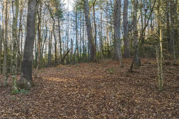 $169,950 | Tbd Lot 1 Tbd Road, Taylorsville, NC 28681