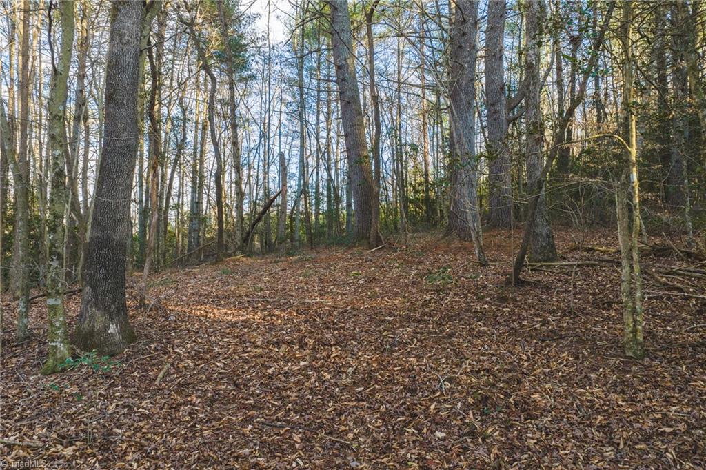 Tbd Lot 1 Tbd Road Taylorsville, NC 28681 - Photo 6 of 20