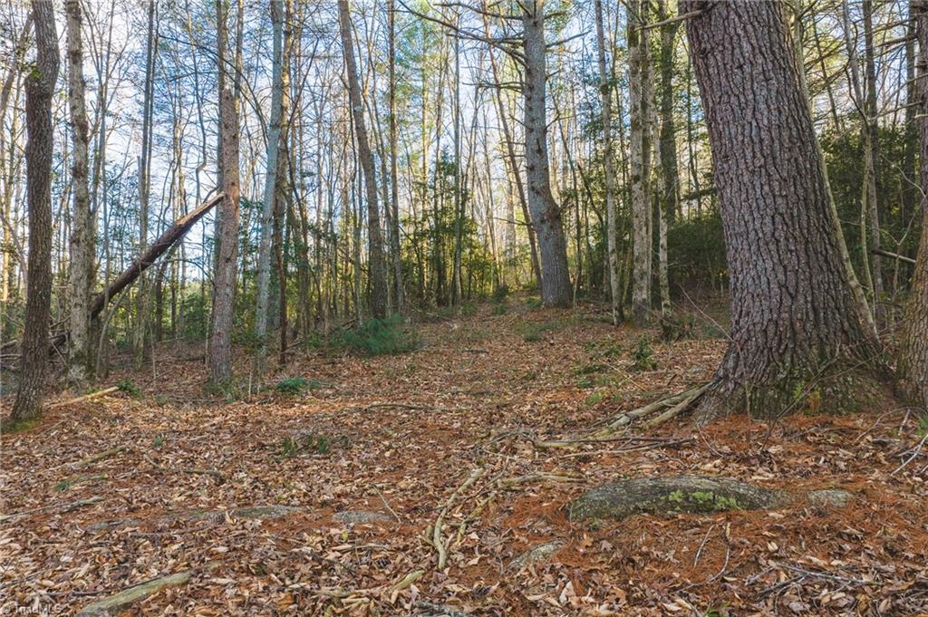 Tbd Lot 1 Tbd Road Taylorsville, NC 28681 - Photo 7 of 20